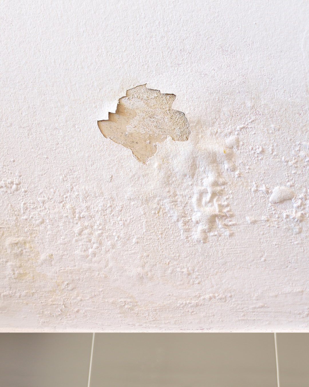 Water Leakage in Monsoons can be a concern for HEALTH..! Read here for solutions
