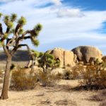 Palm Springs, California- Perfect hideout to unwind!