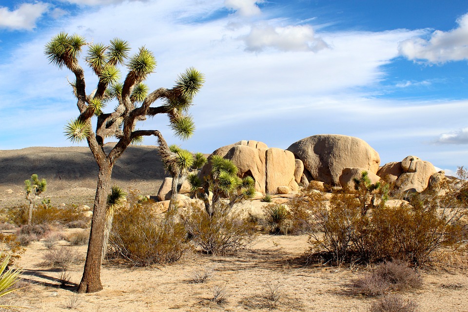 Palm Springs, California- Perfect hideout to unwind!