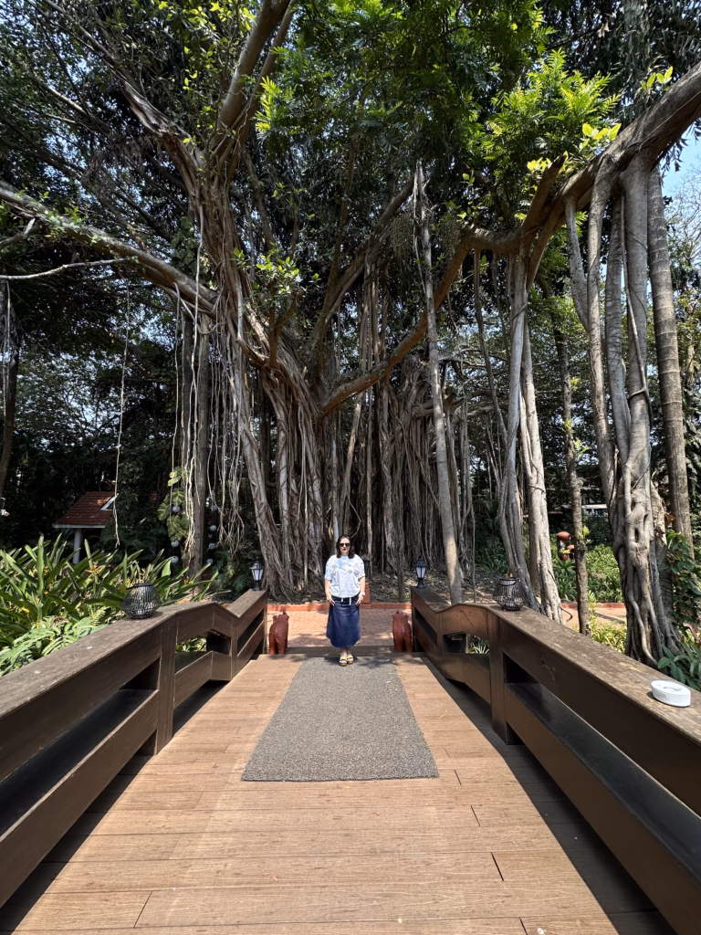Banyan Tree Taj