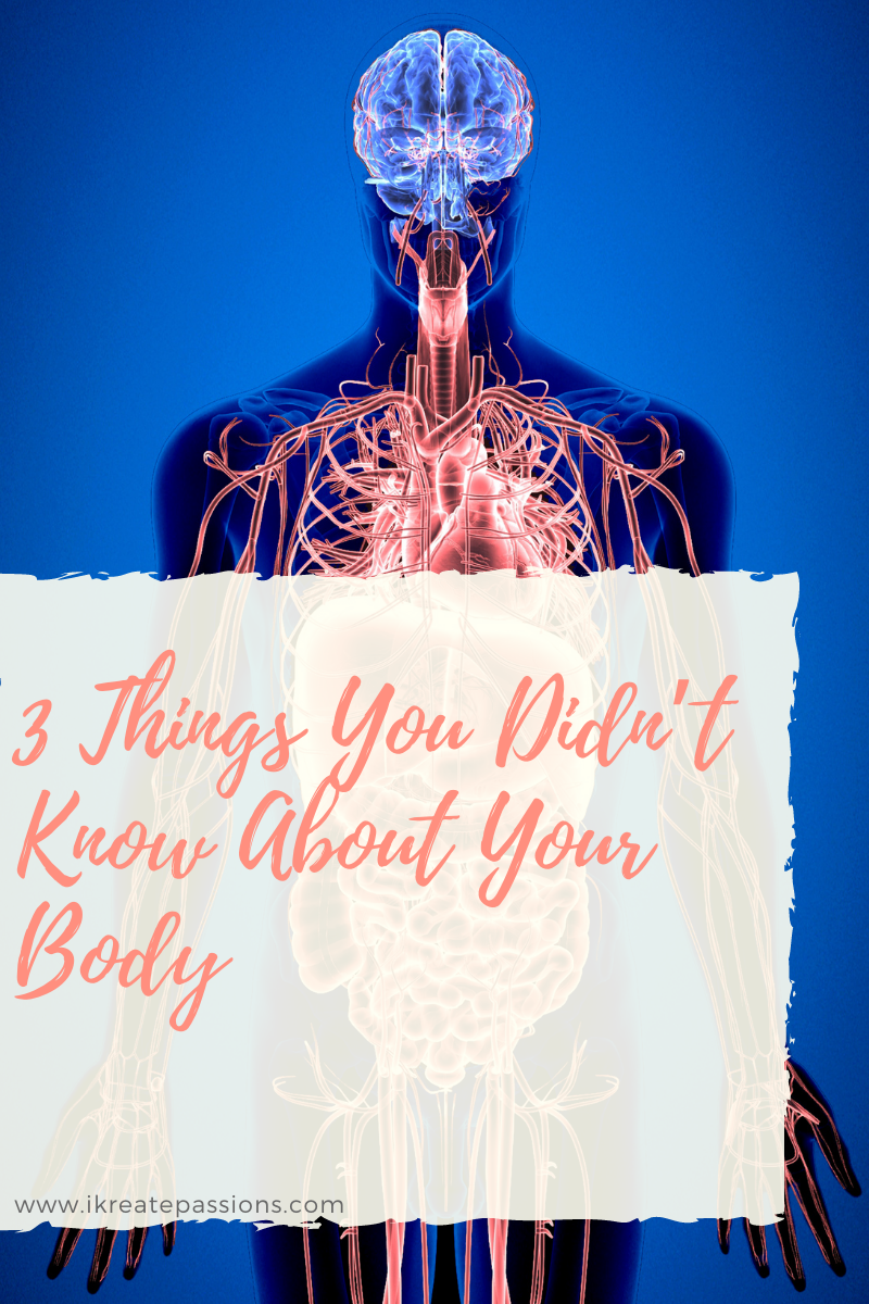 3 Things You Didn’t Know About Your Body