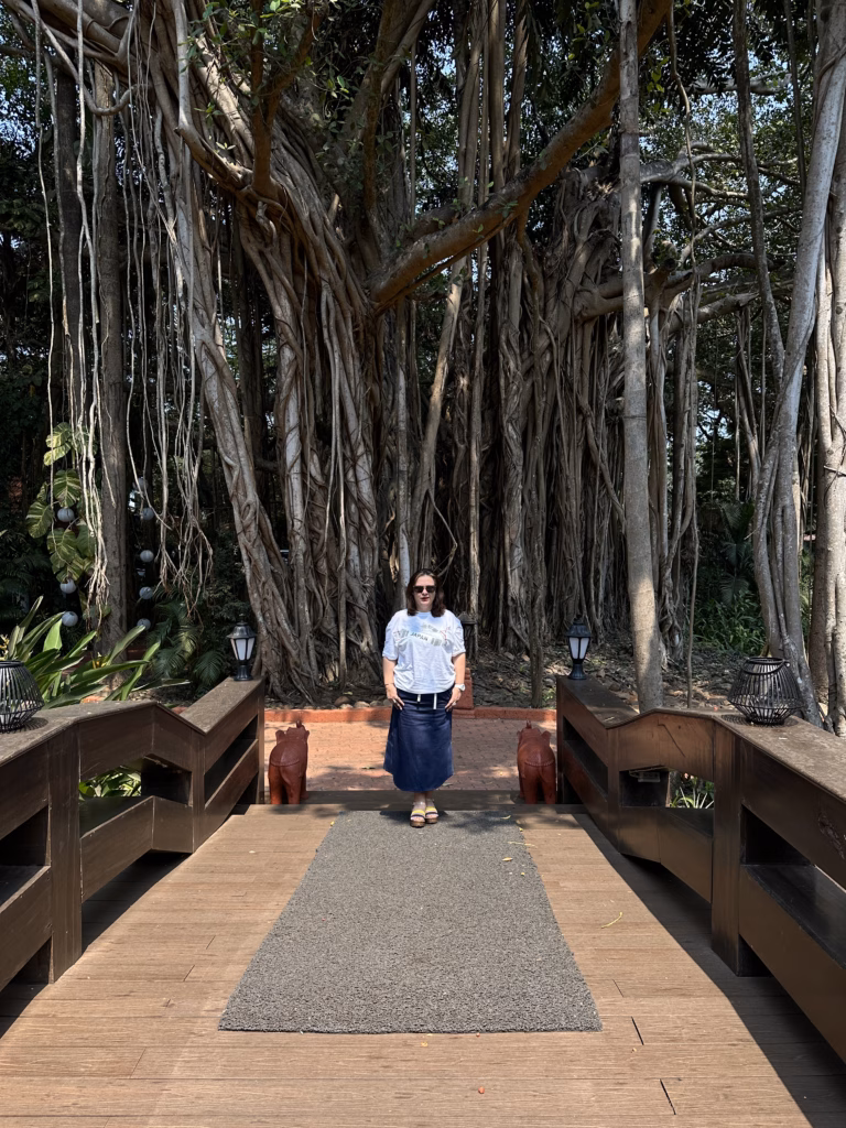 banyan tree