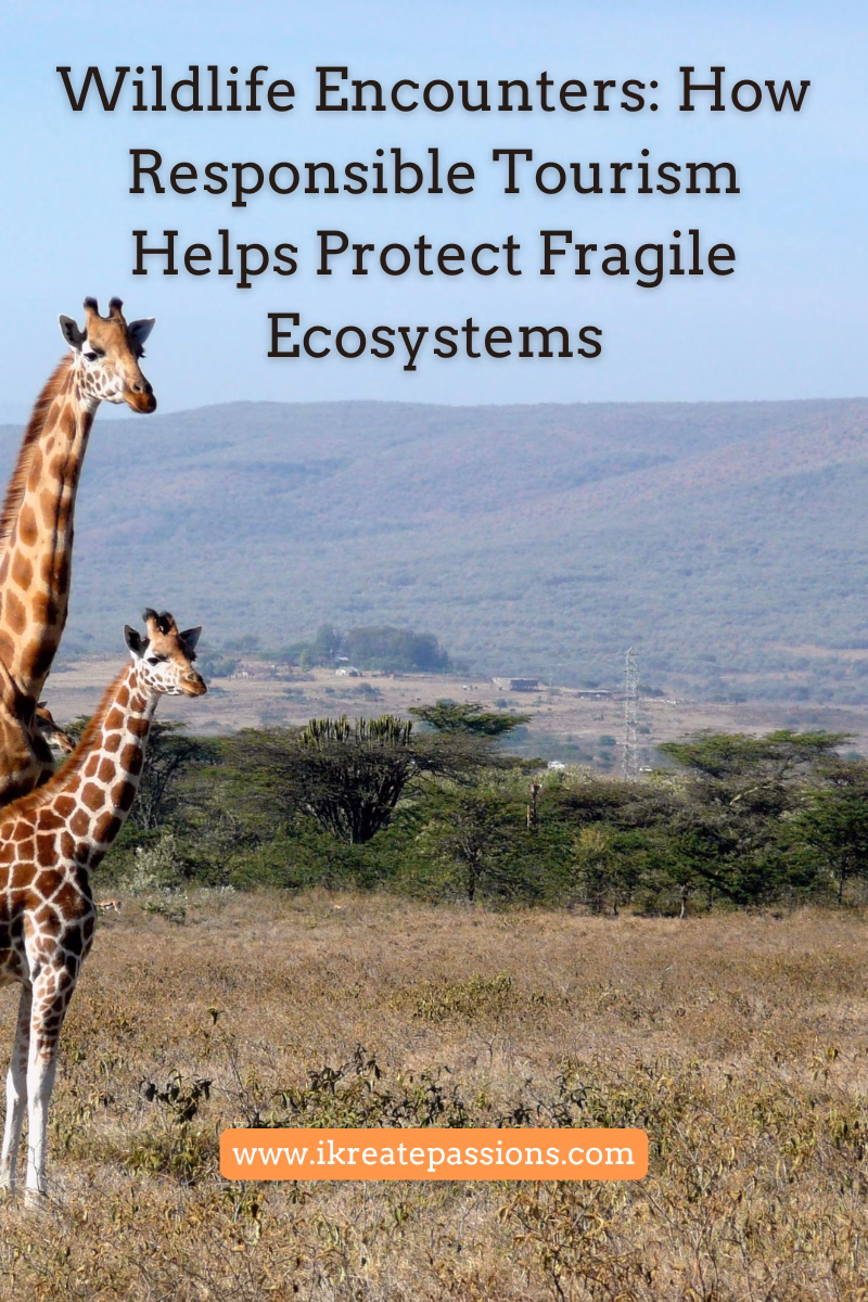 Wildlife Tourism