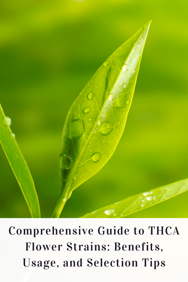 Comprehensive Guide to THCA Flower Strains: Benefits, Usage, and Selection Tips